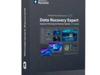 Wondershare Recoverit Data Recovery Expert for Windows Individual (Digital Perpetual License)