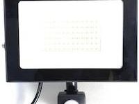 Noble Pays 50w 4000 Lumens LED Floodlight With Motion Sensor