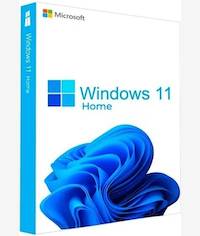 Microsoft Windows 11 Home ESD Download Only