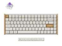 Keychron K2 HE Wireless Special Edition Magnetic Custom Keyboard | NEBULA Switch – White